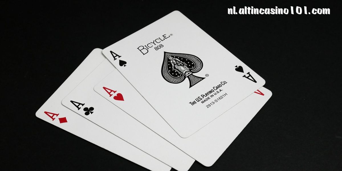 nl.altincasino101.com